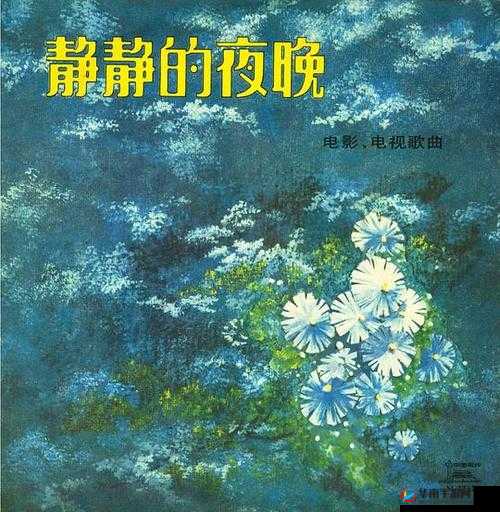 晚上看的-这些影视作品值得你在夜晚静静品味