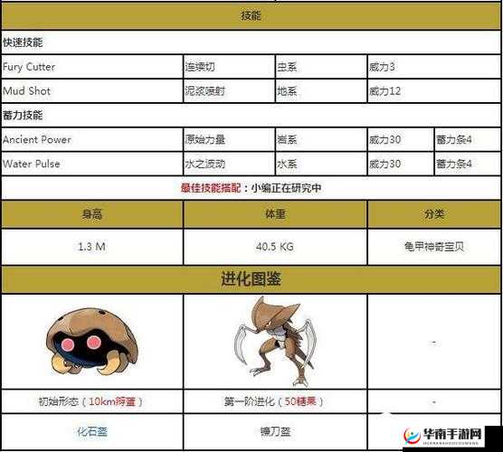 口袋妖怪复刻太古盔甲属性详解介绍，资源管理的艺术