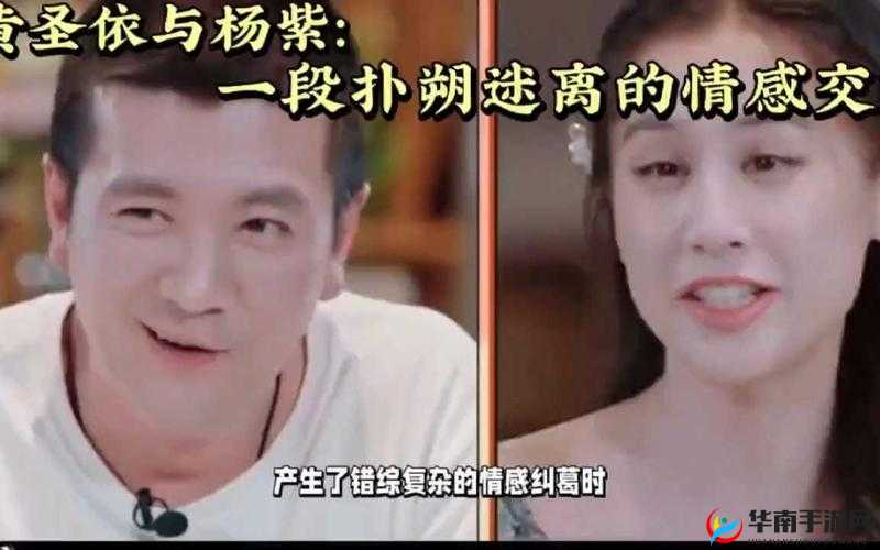 别样春情之官场风流：官场风云背后的情感交织与权谋较量