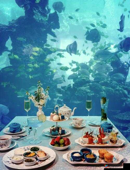 yayaya 视频全新体验：带你开启精彩无限的视觉之旅