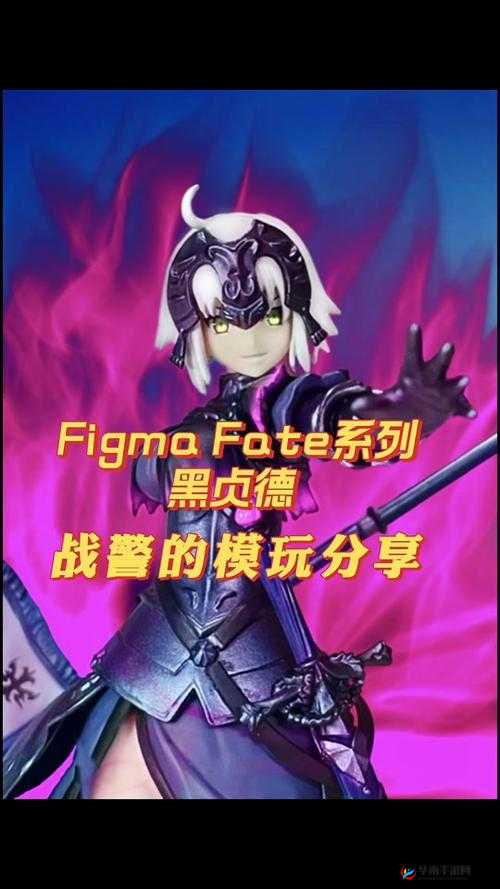 命运冠位指定FGO，狂X毛队友测试结论——黑贞德最配在资源管理中的重要性及策略