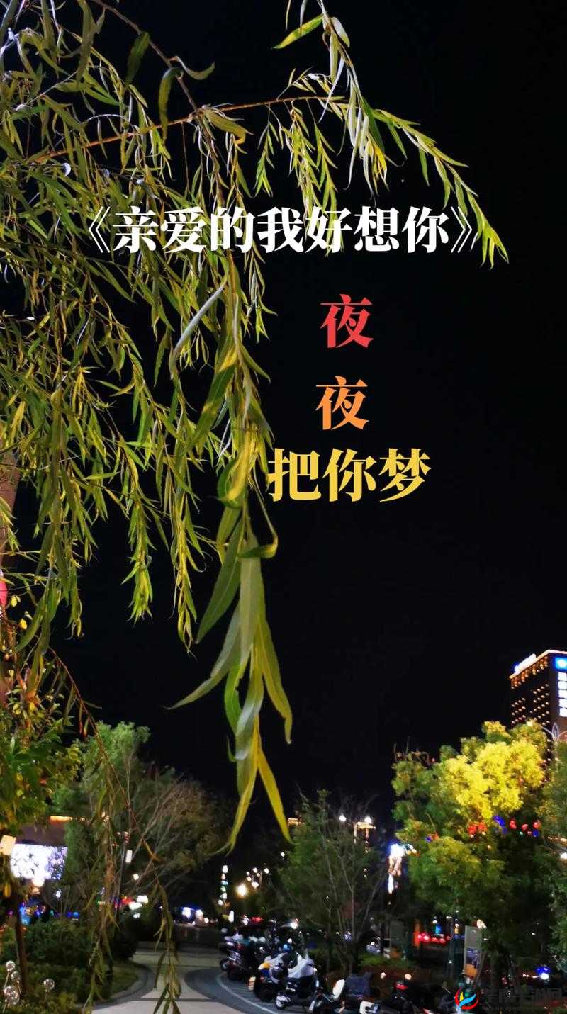亲爱的，我好想你，夜夜把你梦说：情感的倾诉与思念的交织