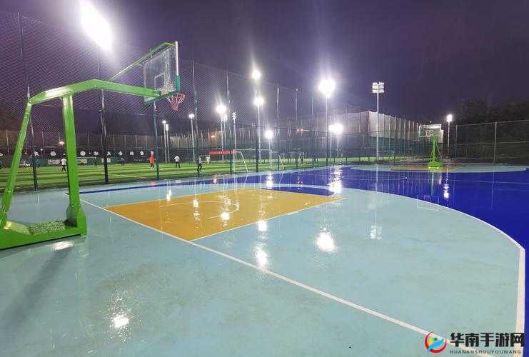 两个体育教练双龙:携手共铸体育辉煌之路