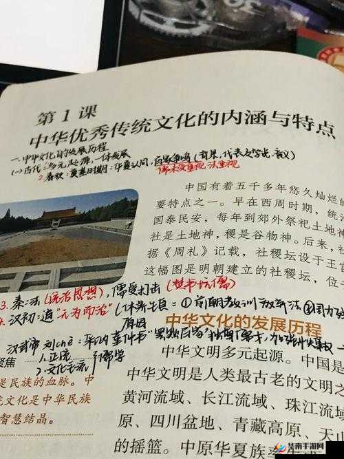 中文字字幕：传承中华文化精髓 探索文字背后的深刻内涵