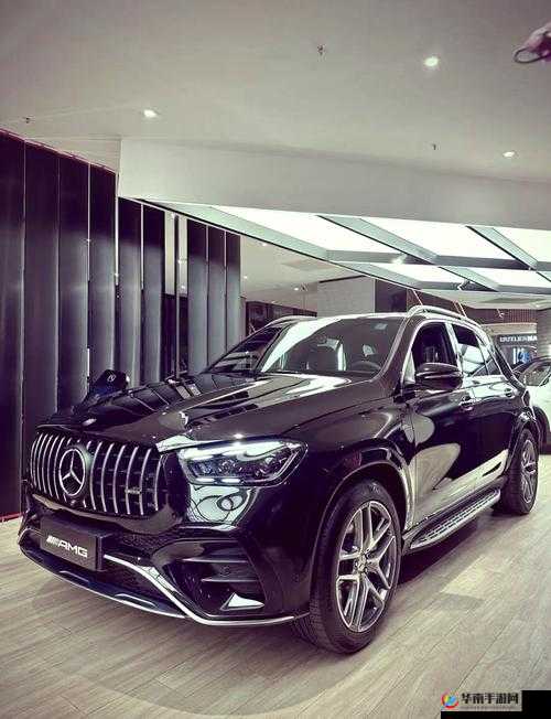 丰裕纵满 2588 港版：展现奢华与极致享受的独特魅力