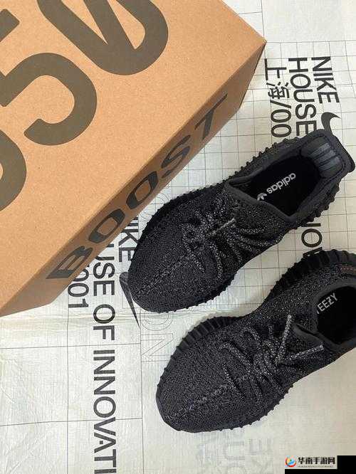 反光 1988 意大利满天星夸克：独具魅力的时尚元素解析