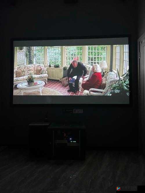 国产爽爽爽带来极致视听享受与畅快体验