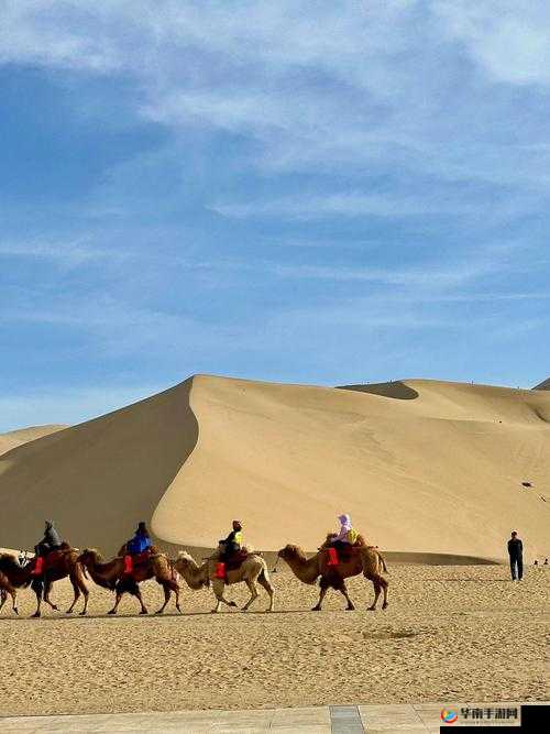 口咬玉门关的方法及做法图解详细解析