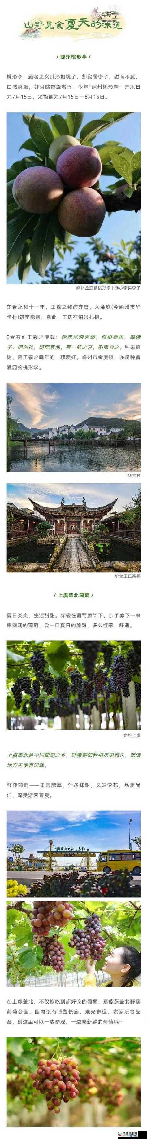 x9x9x9 随意率性槽 ：探索未知的独特领域