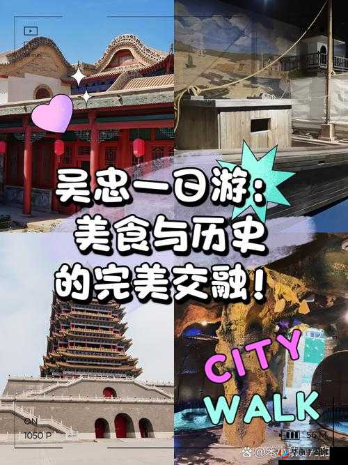 千人共品一片桃源：美食与文化的奇妙交融