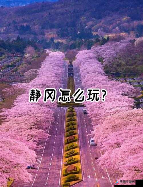 探索野花日本大全免费完整版高清版 10 的独特魅力与精彩呈现