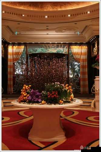 欧类怡春院：一场独特的娱乐体验之旅