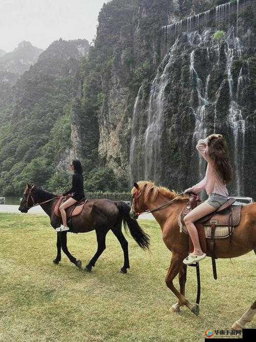 一级特黄 BBBBB 免费观看：畅享激情，无尽刺激