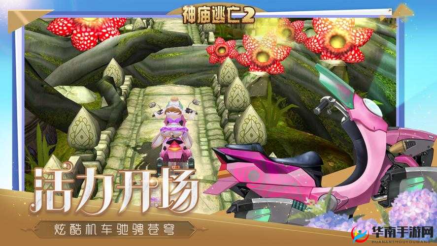 安妮的学校时光游戏攻略：全方位详细通关秘籍与技巧解析