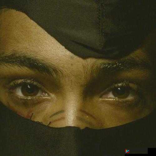 揭秘美国人 xxx69：背后的神秘故事