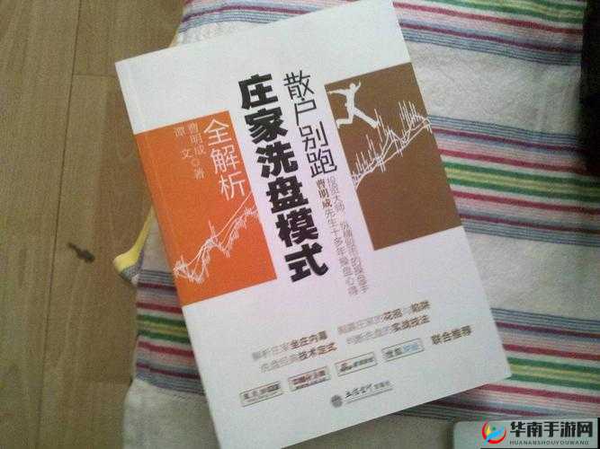99 品一二三产区区别深度解析：全面剖析差异奥秘