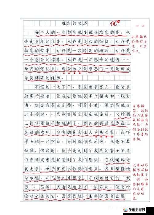 丁的夫人 1996 年意大利：一段独特而难忘的经历与故事