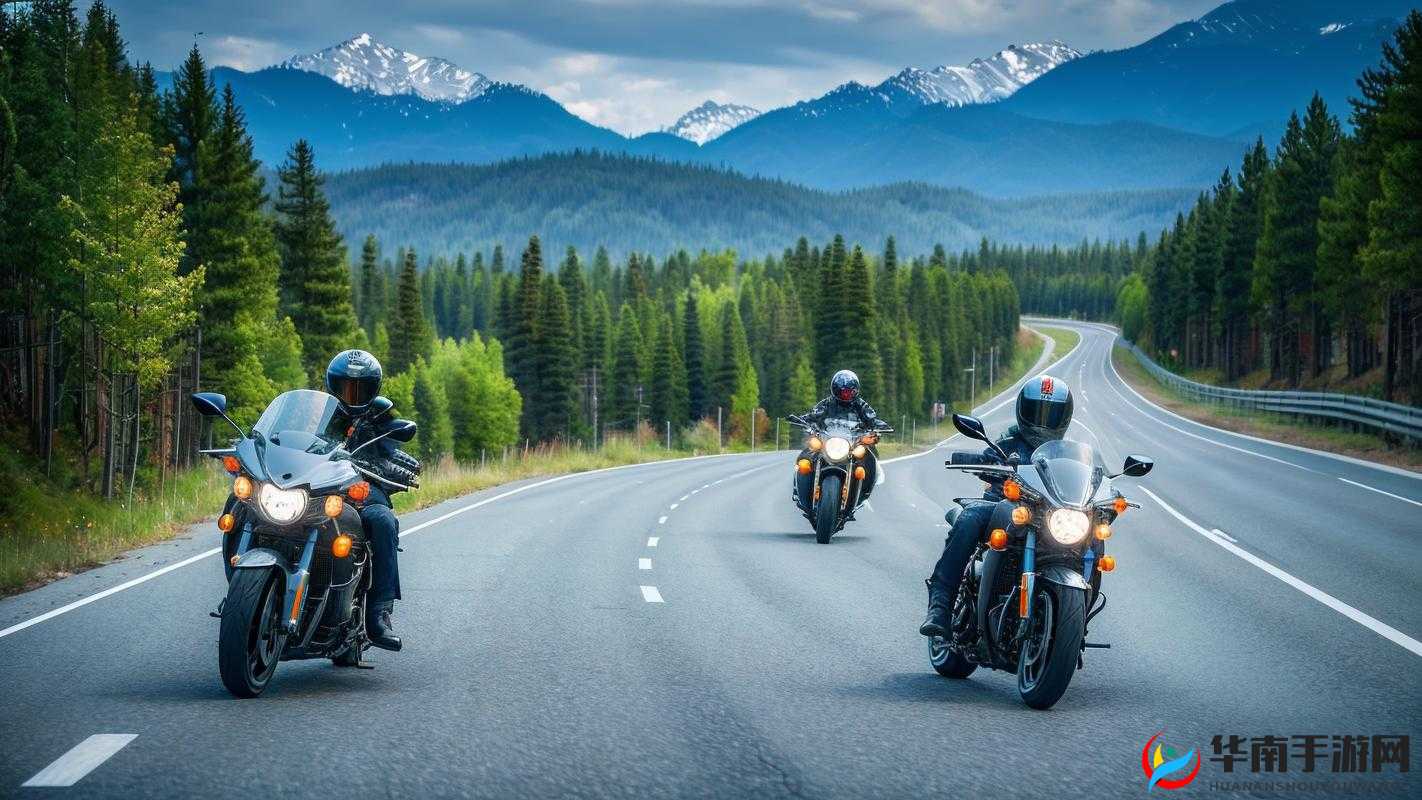 两男高速激情驾驶：速度与激情的碰撞