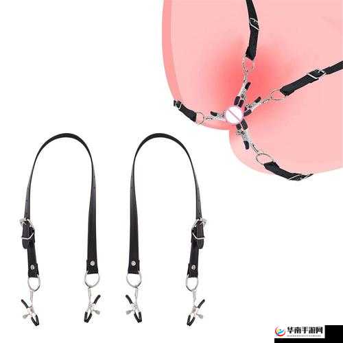 调教下体的工具:残忍与性虐的交织