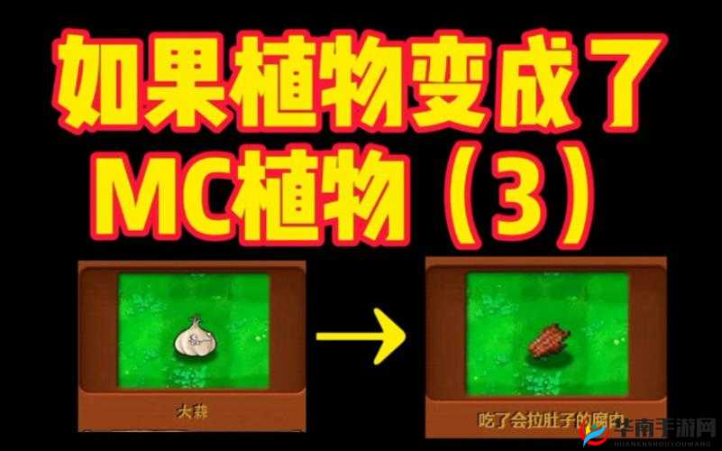 我的世界，解锁植物耕种的高效秘籍