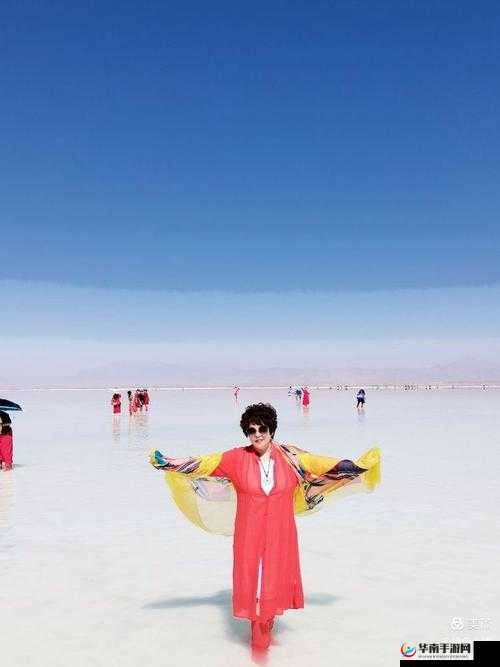 成吉思汗手机版血战荒野玩法规则解析，资源管理的艺术