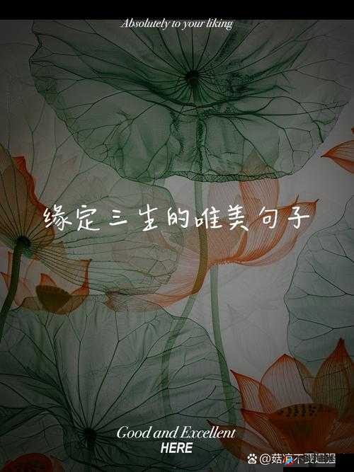 绝世爱恋，穿越时空的深情守候——以三生三世十里桃花为例