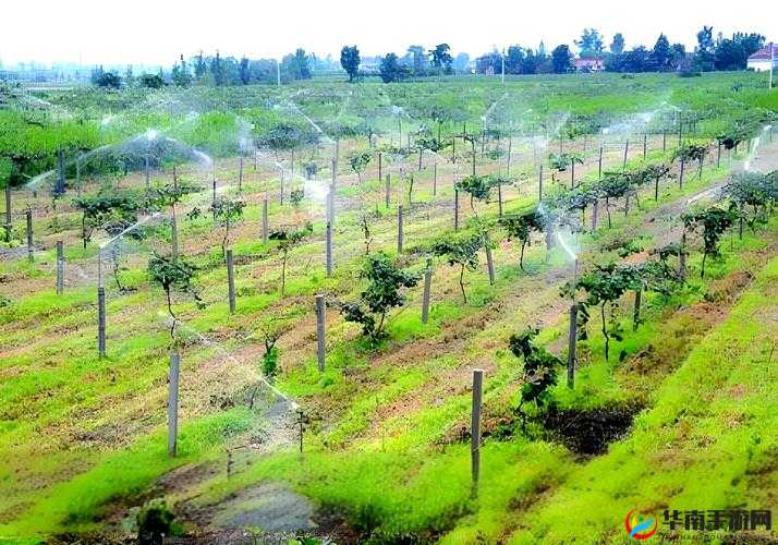 神奇的 HP 公交车灌溉系统，为城市绿化带来新变革