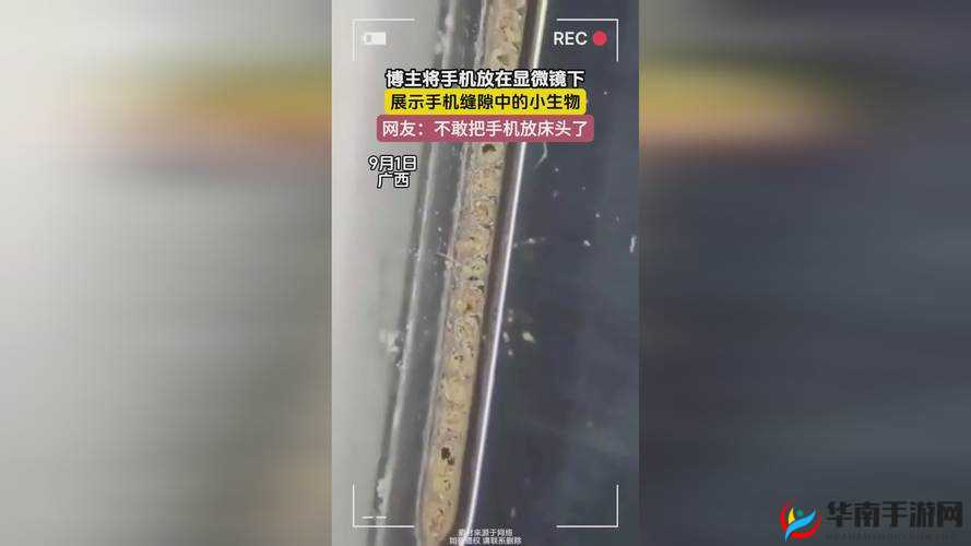 麻花传媒 CEO：引领公司走向创新与辉煌的领路人