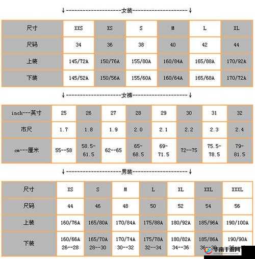 亚码 L 跟欧码 L 区别在哪之详细对比分析与具体差异体现