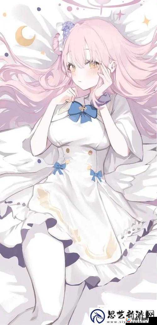 炖肉计是今海棠:关于它的详细解析与深入探讨