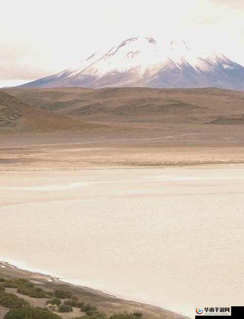 中国 WINDOWS 野外:探索未知领域的神秘之旅