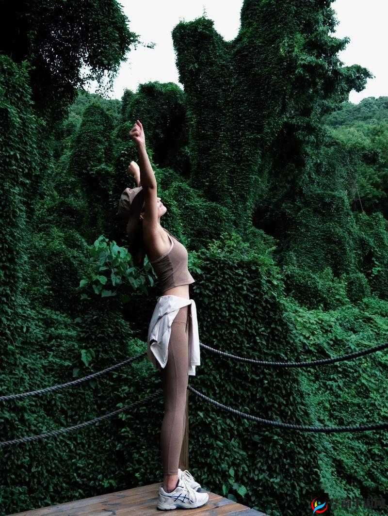 137VT 最大但人文艺术 A 仙踪：探索其独特魅力与价值所在