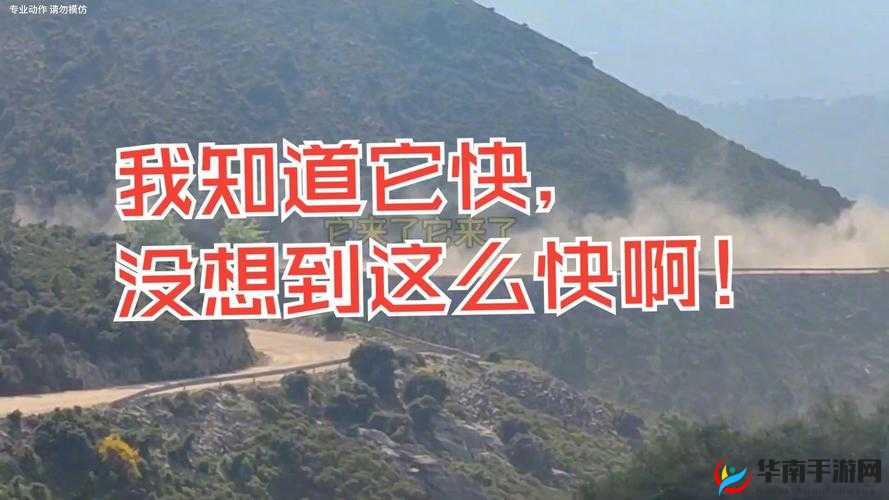 这么快就有反应了：这速度真是令人惊叹不已啊