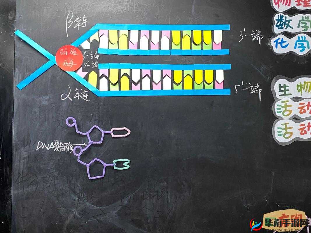 我成了生物课的教具:一段令人惊奇的校园经历