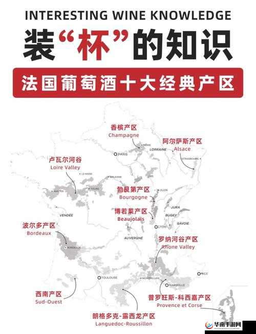 99 精产国品一二三产区：探索不同产地的独特魅力