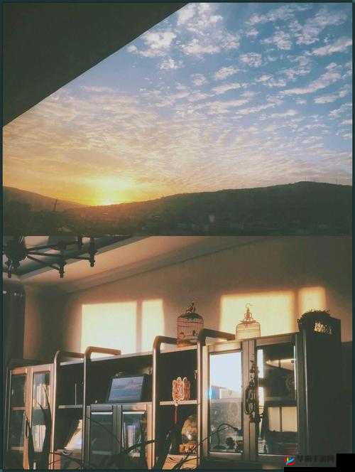 江教授的日常生活-1-安生：关于其日常生活的详细记录与解析