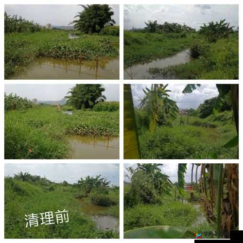 产区一二三区下卡 2021 ：深度剖析其特点与发展趋势