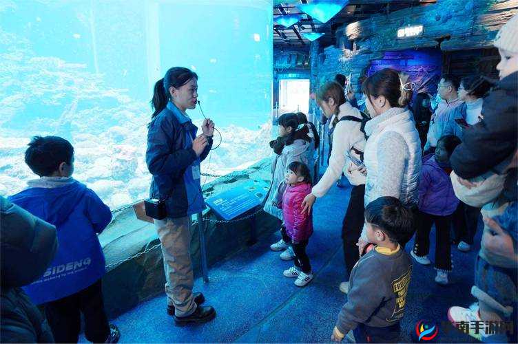 授课方式By清欢：探索知识海洋的独特引领路径