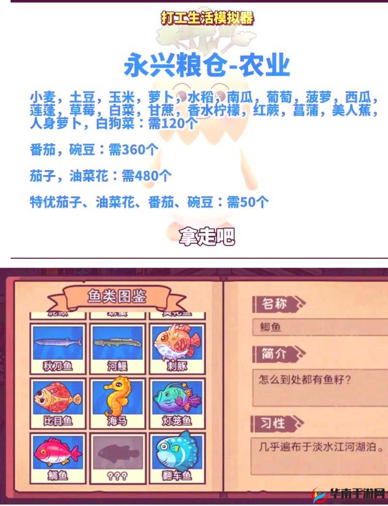 日本仙踪林与 xzl 仙踪林的区别到底在哪里以及详细解析