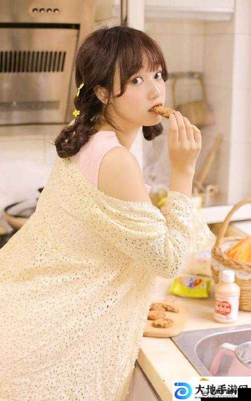 成品网站 5668 入口的功能介绍将暂停访问，何时恢复访问？