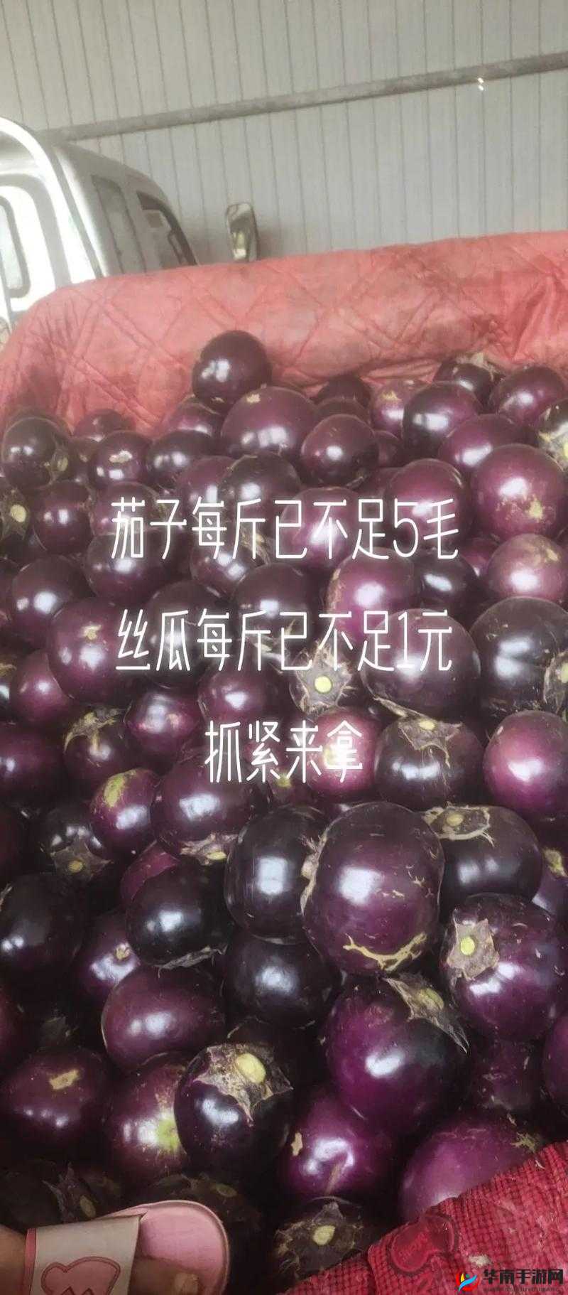 草莓香蕉榴莲黄瓜丝瓜茄子 ios 下载遭黑粉砸场 水友力挺维护现场