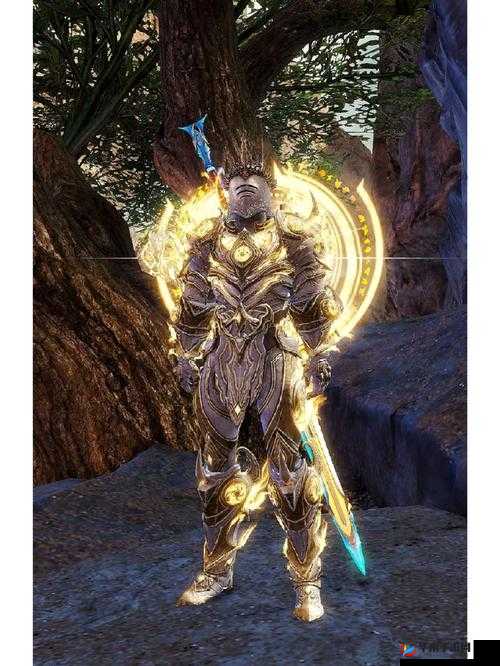 激战 2：健身房里的热血战斗，你准备好了吗？