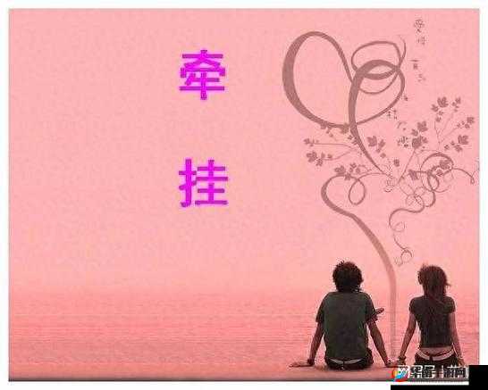 老公亲我的小花园爱我吗怎么回答：情感深处的探寻与答案