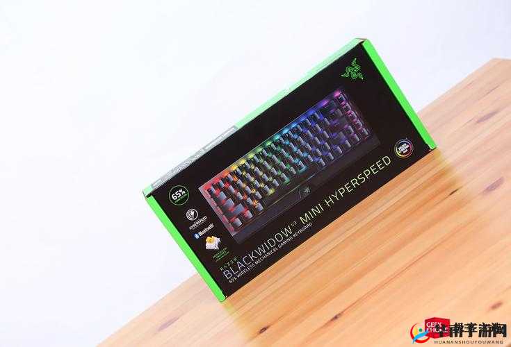 黑寡妇 ESSENTIAL 产品:多功能时尚必备之选