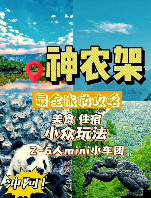 坤坤寒进桃子里：探寻其中的奇妙与神秘之旅