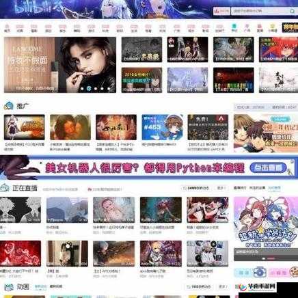 b站推广网站 2024mmm:一个值得你关注的精彩平台