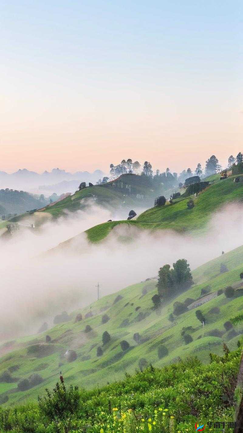 我在野外截取一段视频：探寻大自然的神秘与美丽