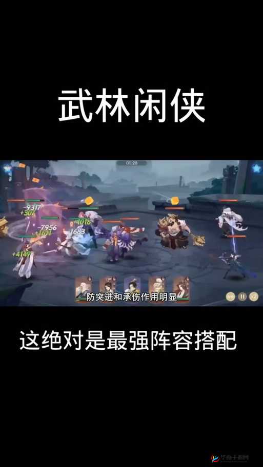 武林闲侠最强刺客侠客推荐：谁是江湖中的致命杀手？