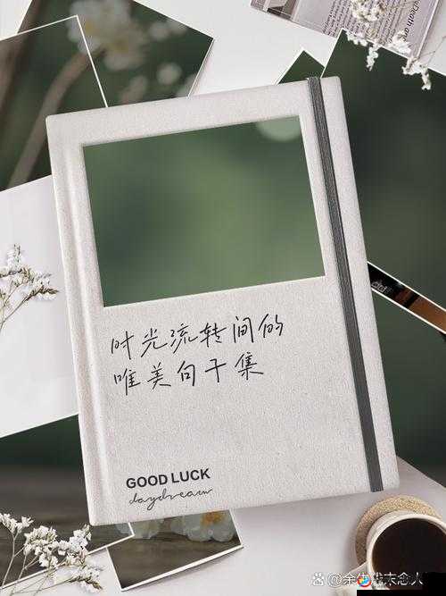 如果一生只有三十岁:探寻短暂时光中的无尽可能