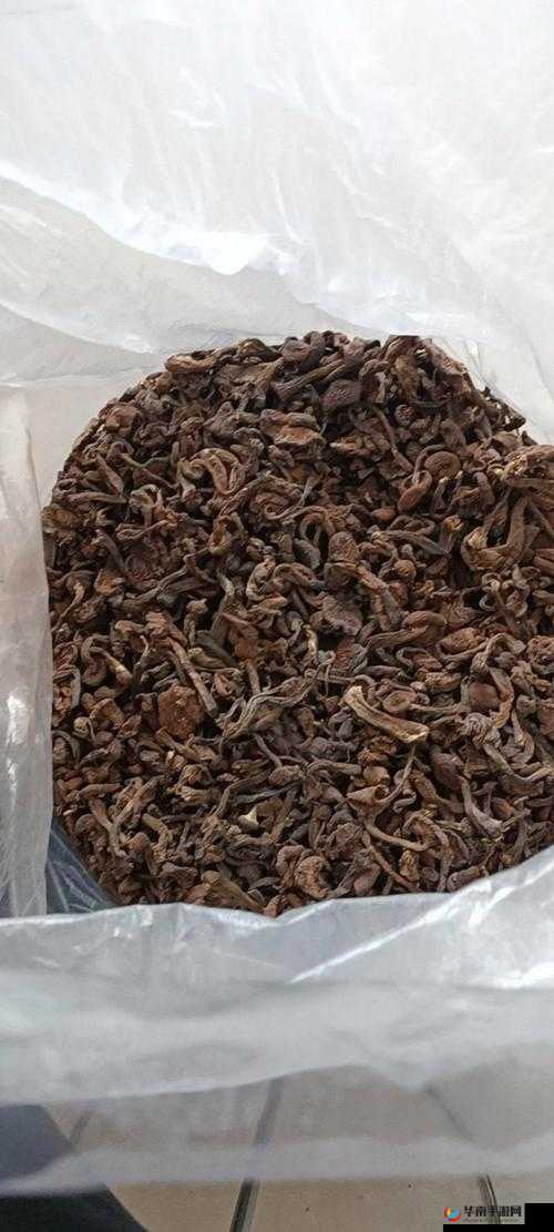 精产国蘑菇品一二三产品区，为何如此受欢迎？